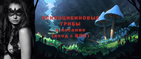 PSILOCYBIN Усмань
